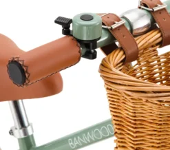 BANWOOD FIRST GO Laufrad forest