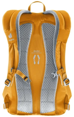 Deuter Rucksack Gogo LTD cinnamon