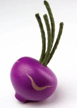 Erzi Kaufladenzubehör Kohlrabi, blau 12200