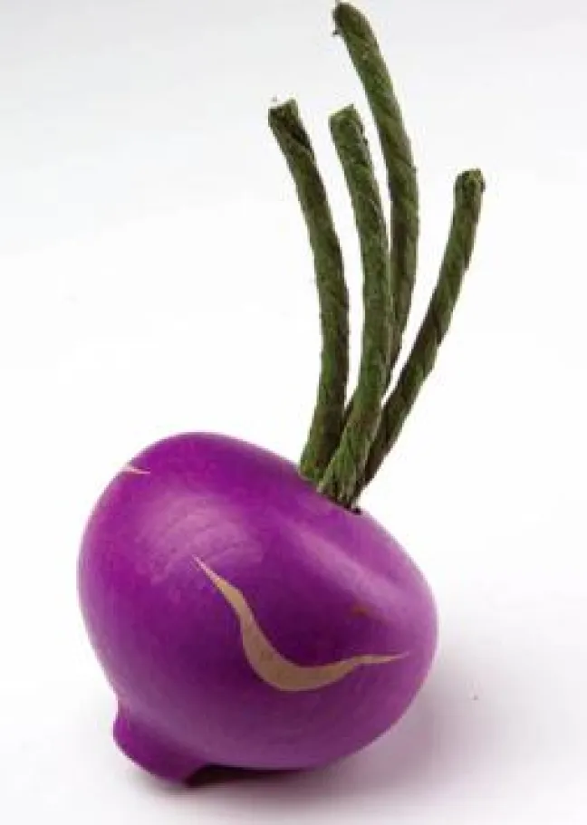 Erzi Kaufladenzubehör Kohlrabi, blau 12200