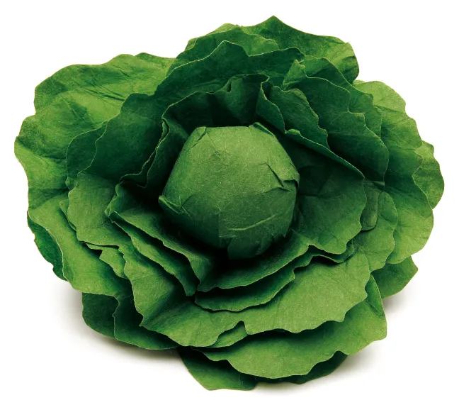 Erzi Kaufladenzubehör Salatkopf 12280