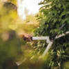 FISKARS Heckenschere HS53 Sale