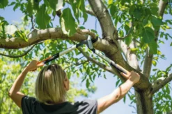 FISKARS PowerGear™ X Bypass-Getriebeastschere M LX94-M