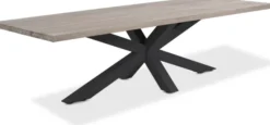 LIFE Timor Esstisch 280x100 cm lava/grey teak