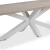 LIFE Timor Esstisch 280x100 cm weiß/grey teak