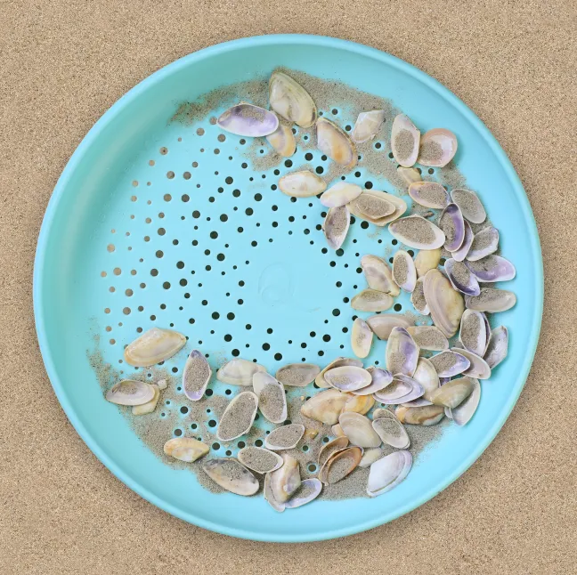 Quut Flying Disc + Sandstreuer Vintage Blue