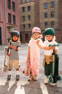Scoot & Ride Highwaykick 3S fatlbar ash