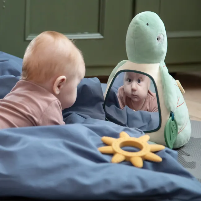 Sebra Aktivitätsspielzeug Turbo die Schildkröte grün