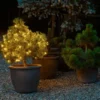 Sirius Top-Line LED Netz 100 Lichter 2x1,5m Starterset inkl, Transformator klar/schwarz Sale