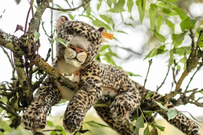Steiff Parddy Leopard 36cm