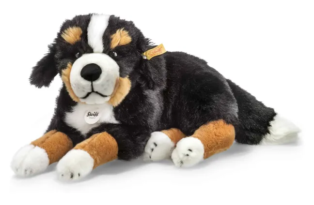 Steiff Senni Berner Sennenhund 45cm liegend 79528