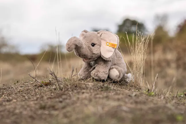Steiff Teddies for tomorrow Edie Elefant 24cm 65163
