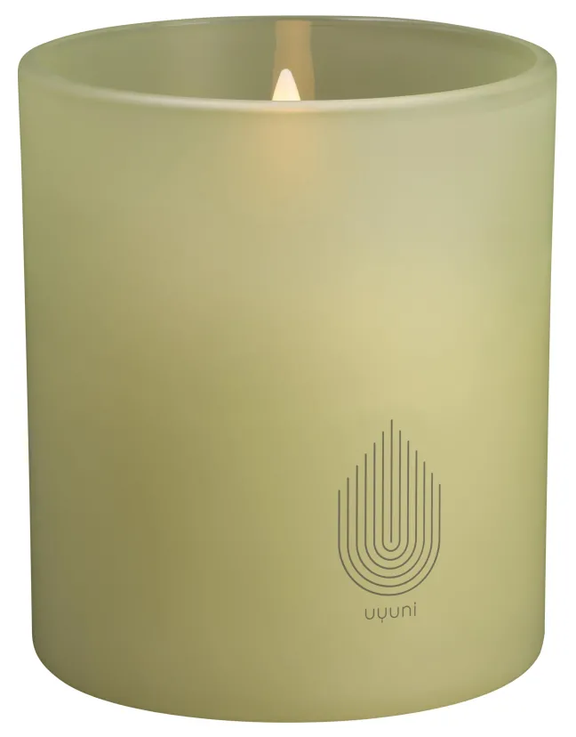 UYUNI LED Kerze im Glas 9x10 cm light green leaf