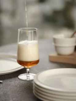 ZONE Denmark Bierglas Rocks 30 cl Klar