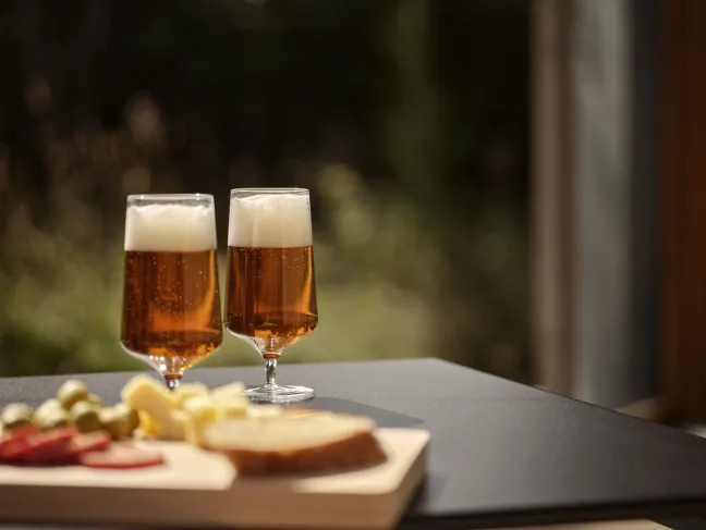 ZONE Denmark Bierglas Rocks 30 cl Klar