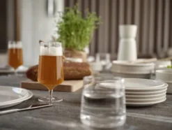 ZONE Denmark Bierglas Rocks 30 cl Klar